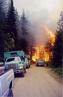 Thirtymile Fire 2001 fire in the Okanogan National Forest, Washington state