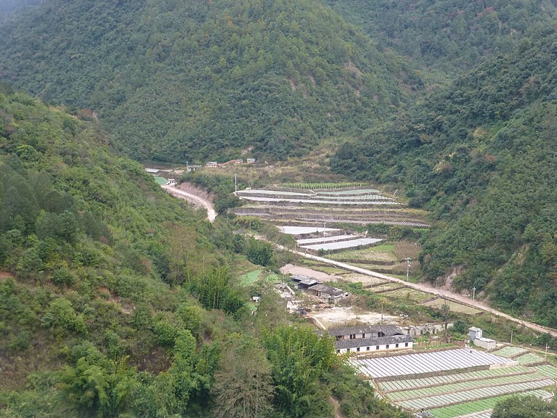 File:Tonghai Xian - S214 - descent from Lishan to Gaoda - P1360589.JPG