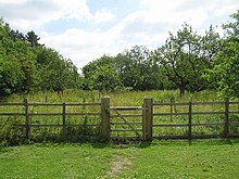 Community Orchard in Northamptonshire Top Lodge - The Fineshade Community Orchard - panoramio.jpg