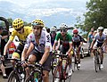 Vignette pour 15e étape du Tour de France 2017