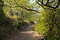 Trail in Murviel-lès-Béziers 01.jpg