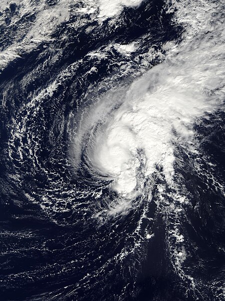 File:Tropical Depression 25W (2009).JPG