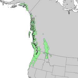 Utbredelseskart for vestamerikansk hemlokk