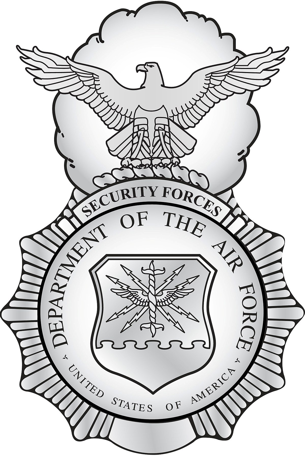 air force security forces patch