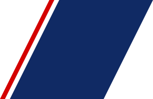 File:United States Customs and Border Protection racing stripe.svg