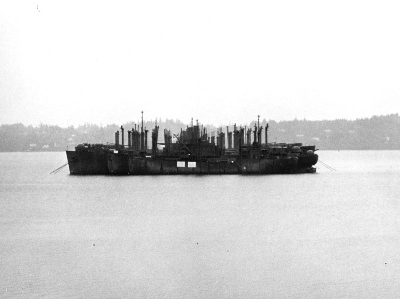 File:Victory ships laid up off Olympia, Washington (USA), circa 1971 (NH 89325).jpg