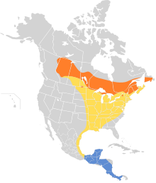 Vireo philadelphicus map.svg