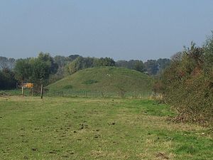 Motte-And-Bailey Castle