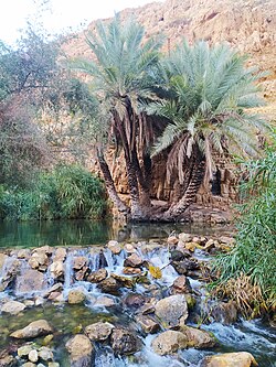 Wadi Al-Auja. palestine 2021.jpg