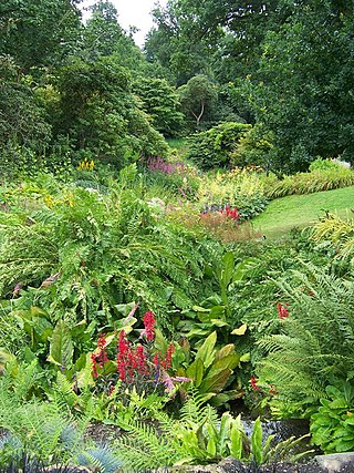 <span class="mw-page-title-main">Bog garden</span> Garden with permanently moist soil