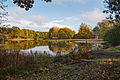 Der Waldsee in Krähenwinkel (Langenhagen) 2