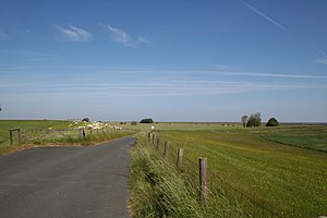 Weiden vor einem Deich nahe Fedderwadersiel