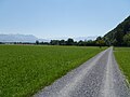 A view to Ruine Wichenstein (aufgenommen am 1. Juli 2015)