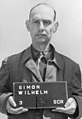 Wilhelm Simon