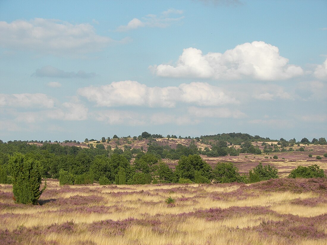 Lüneburger Heide