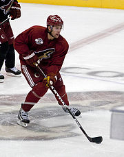 Phoenix Coyotes bankruptcy and sale - Wikipedia