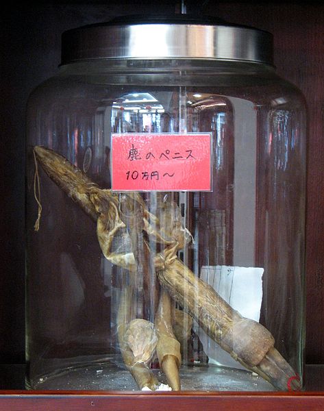 File:Yokohama Chinese Medicine Deer Penis.jpg