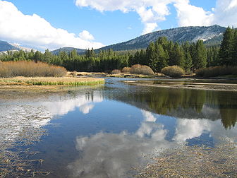 La rivière Tuolumne à hauteur de Tuolumne Meadows dans le Parc national de Yosemite (Californie, États-Unis). (définition réelle 1 600 × 1 200*)