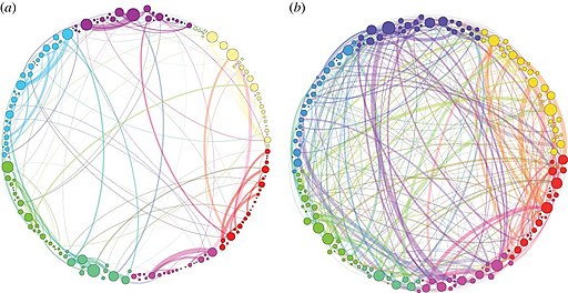 Your brain on psilocybin