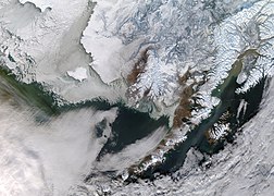 Супутниковий знімок дельти взимку