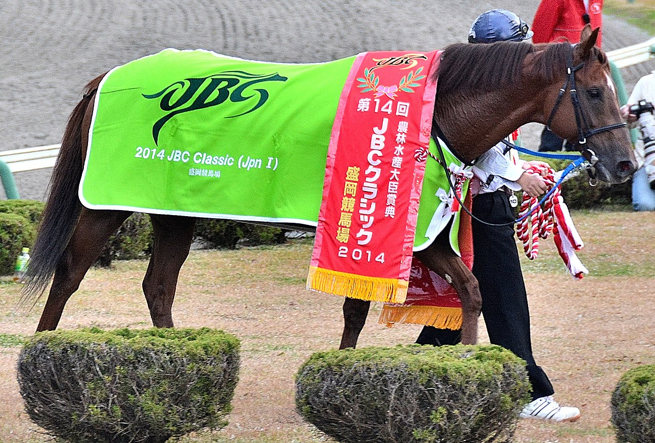 File:第14回JBCクラシックの優勝レイと馬着を装着した勝利馬