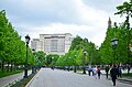 Александровский сад в Москве. Фото 14.jpg