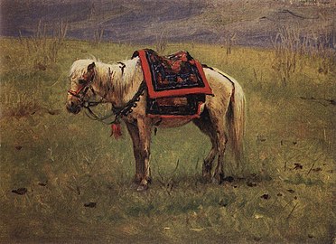 Himalajski kuc, 1875