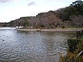 明石公園 - panoramio - kcomiida (8).jpg