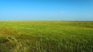 热尔大坝草原Rerdaba grassland - panoramio.jpg