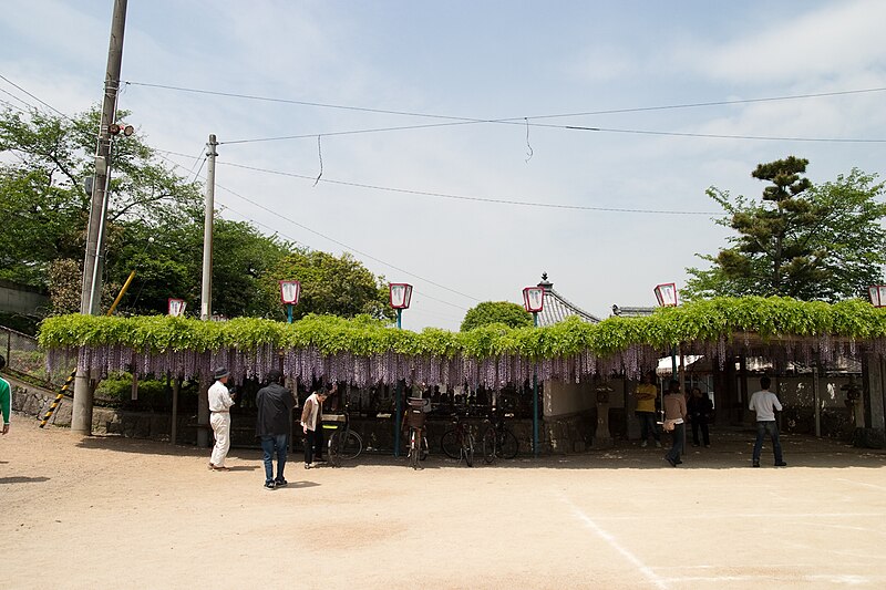 File:禎祥寺 - panoramio.jpg