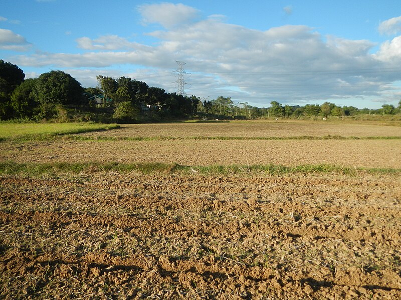 File:0096jfLandscapes Sunsets Fields Maronquillo San Rafael Bulacanfvf 15.JPG