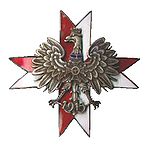 Badge of the 1st Krechowiecki Lancers 1 Pulk Ulanow Krechowieckich.JPG