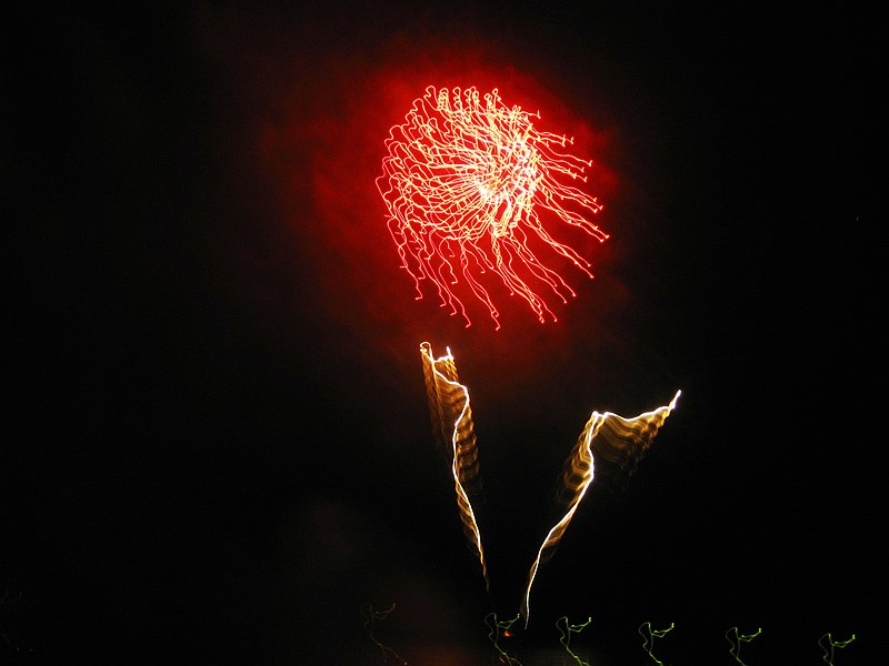 File:2008, New Year Fireworks - Flickr - anantal (3).jpg