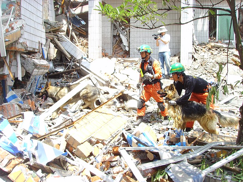 File:2008년 중앙119구조단 중국 쓰촨성 대지진 국제 출동(四川省 大地震, 사천성 대지진) SSL26885.JPG