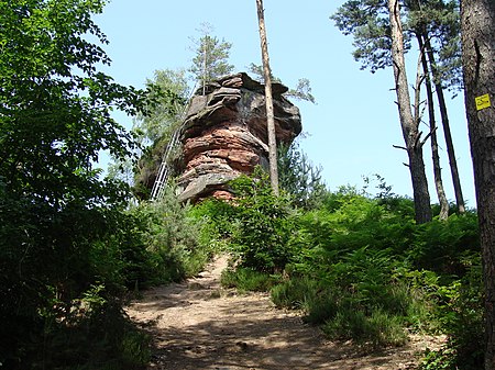 2012 Pfälzerwald 286 Hühnerstein