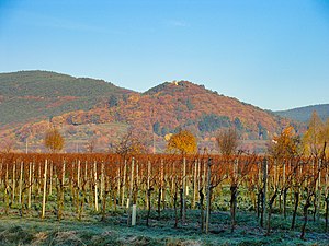 Wetterkreuzberg seen from Maikammer