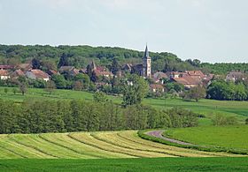 2016-05 - Châtenois (Haute-Saône) - 01.JPG