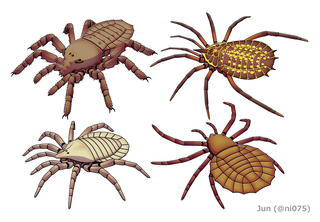 <span class="mw-page-title-main">Trigonotarbida</span> Extinct order of arachnids