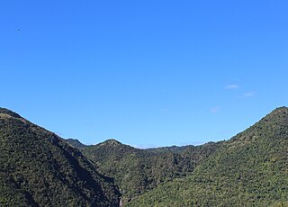 <span class="mw-page-title-main">Planadas-Yeyesa Nature Reserve</span> Protected nature reserve located in Puerto Rico