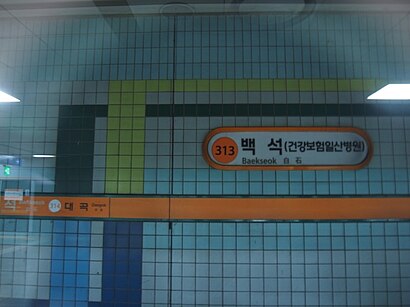 How to get to 백석역 with public transit - About the place