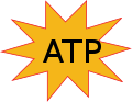 ATP symbol.svg