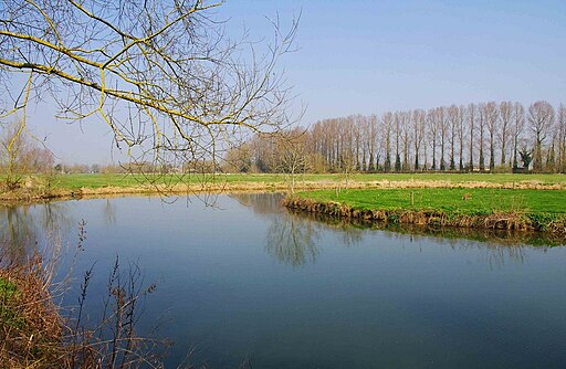 A bend in the River Thames by Cheese Wharf, near Buscot - geograph.org.uk - 2915009