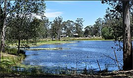 A bird sanctuary. Kerry Valley, Darlington, Scenic Rim Region, 2022.jpg