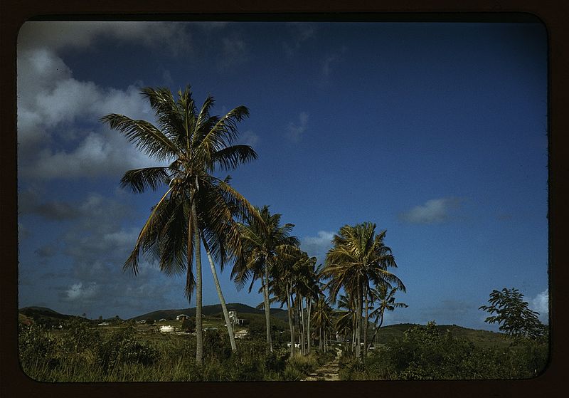 File:A farm road near one of the villages on the northern coast 1a33954v.jpg