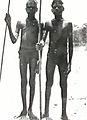 Aboriginal boys with sticks - NTL 29248.jpg