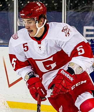 <span class="mw-page-title-main">Adam Almqvist</span> Swedish ice hockey player (born 1991)