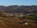 Pienoiskuva sivulle Aesch (Basel-Landschaft)