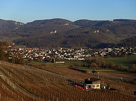 Aesch seen from the upper Rebbergweg in the Klus