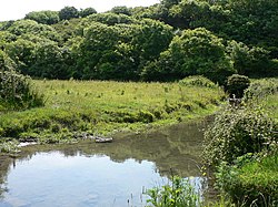 Afon Col-Huw, major Llantwit - geograph.org.uk - 846879.jpg