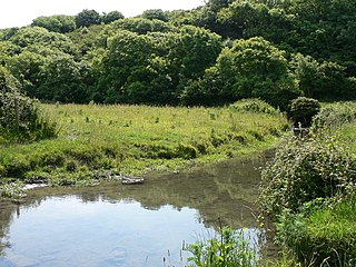 <span class="mw-page-title-main">Afon Col-huw</span> River in United Kingdom, Wales